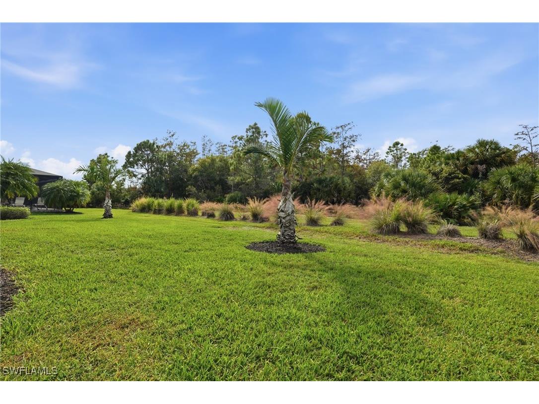 14241 Wild Timber Court Estero FL 33928 225078573 image6
