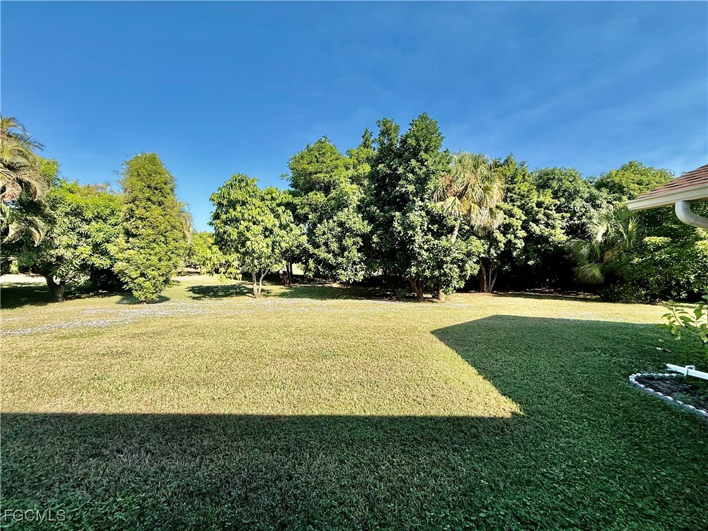 1427 Scenic Street Lehigh Acres FL 33936 2025019638 image33