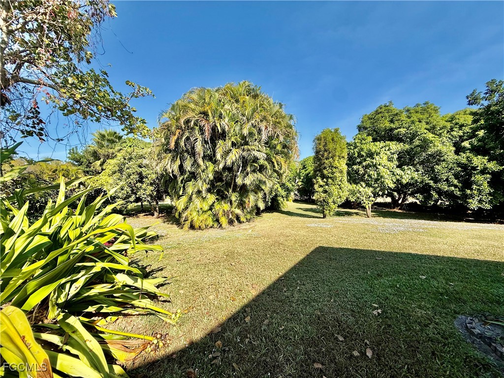 1427 Scenic Street Lehigh Acres FL 33936 2025019638 image35