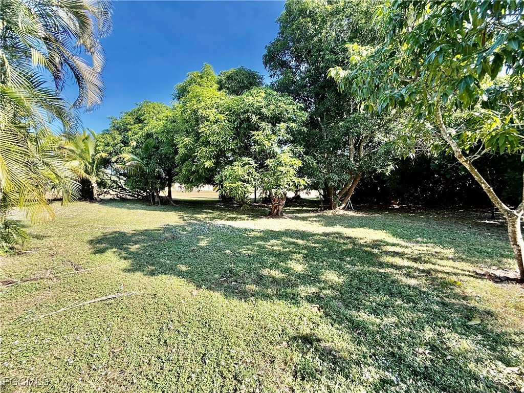 1427 Scenic Street Lehigh Acres FL 33936 2025019638 image37