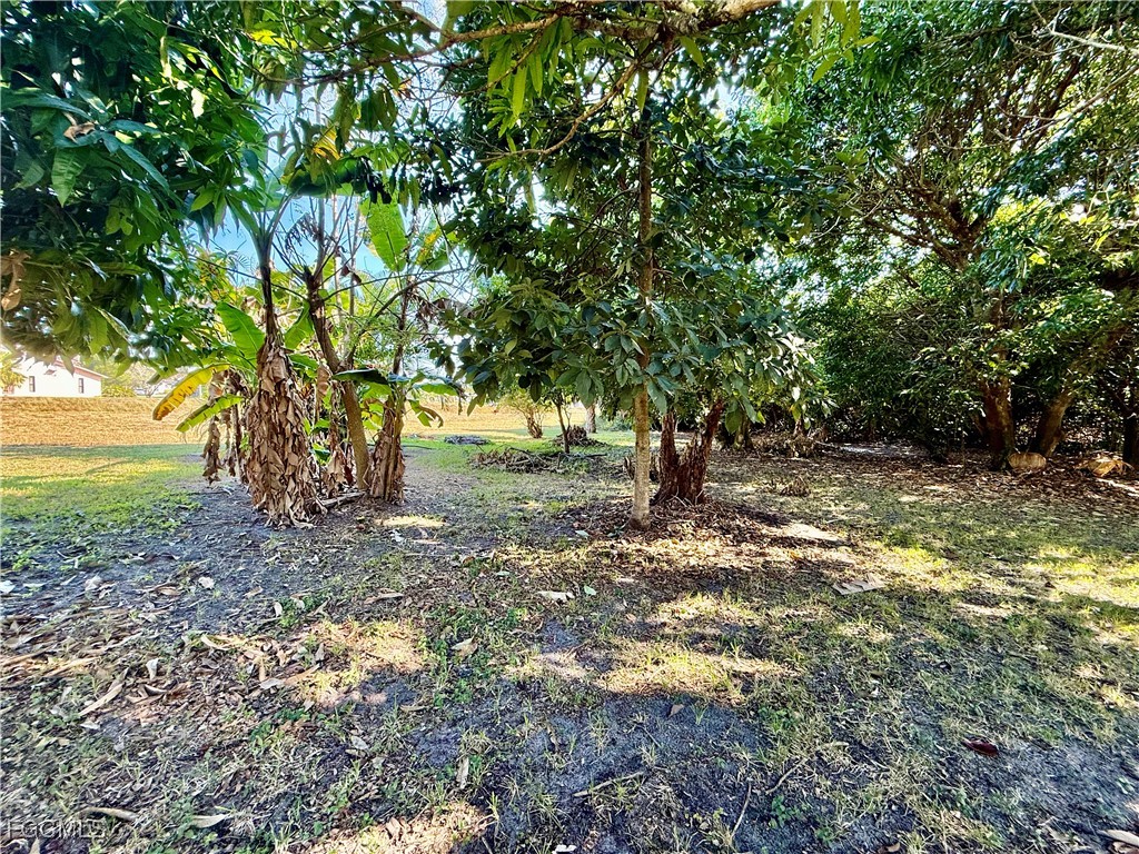 1427 Scenic Street Lehigh Acres FL 33936 2025019638 image39