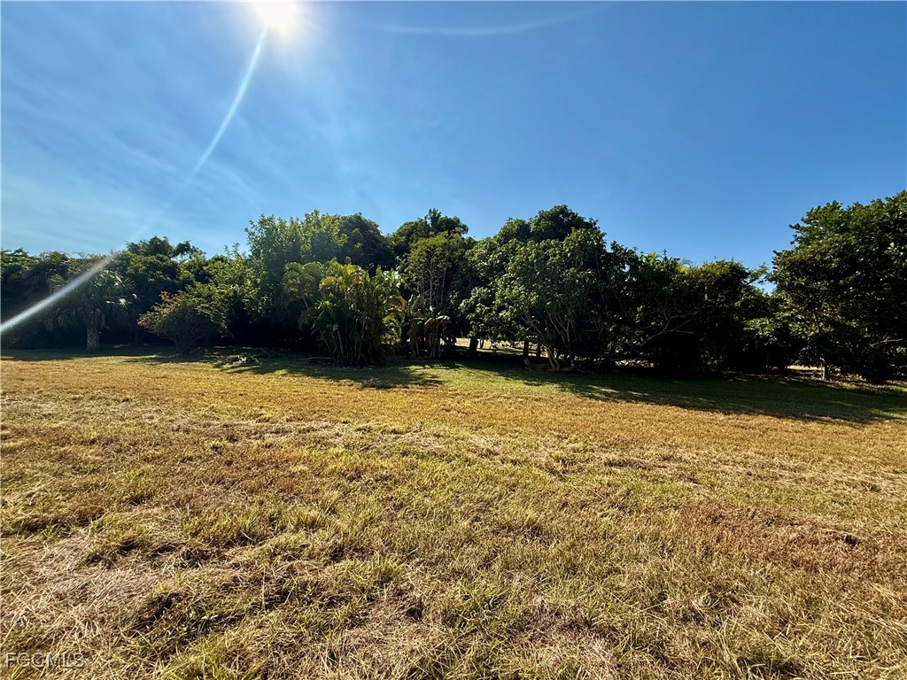 1427 Scenic Street Lehigh Acres FL 33936 2025019638 image40