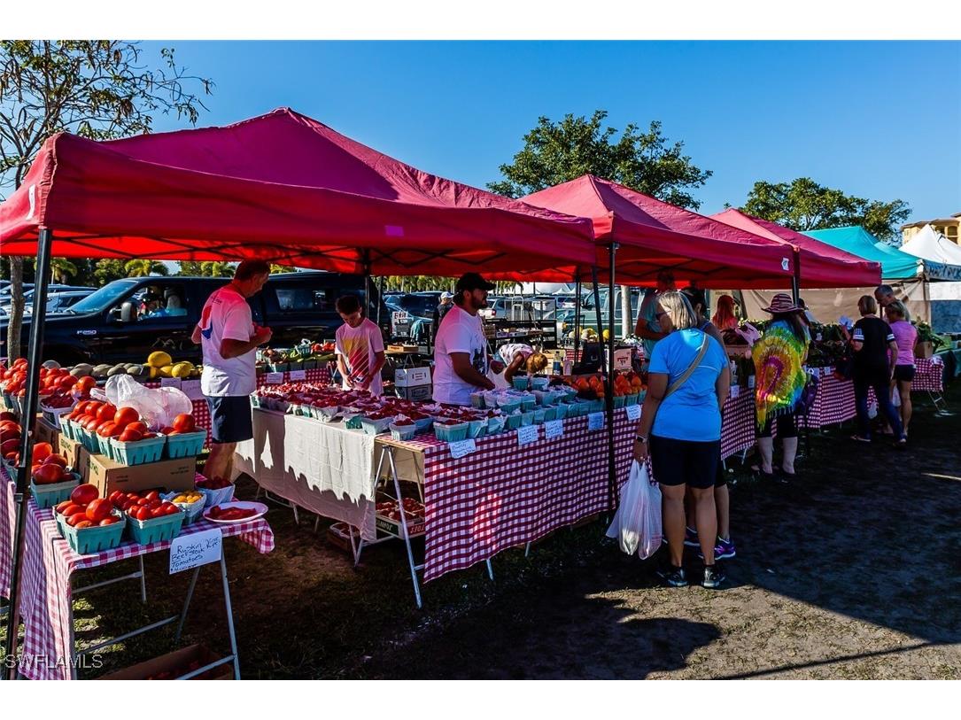 1429 Collingswood Avenue Marco Island FL 34145 225079940 image36