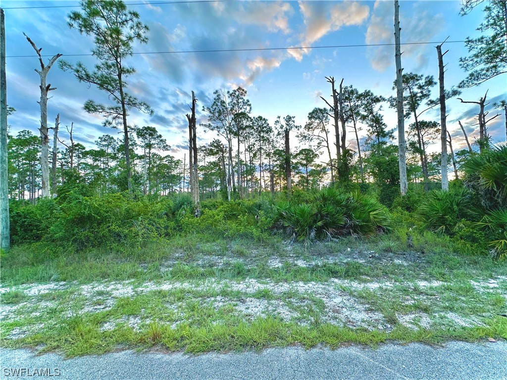 1429 Lincoln Avenue Lehigh Acres FL 33972 223064498 image1