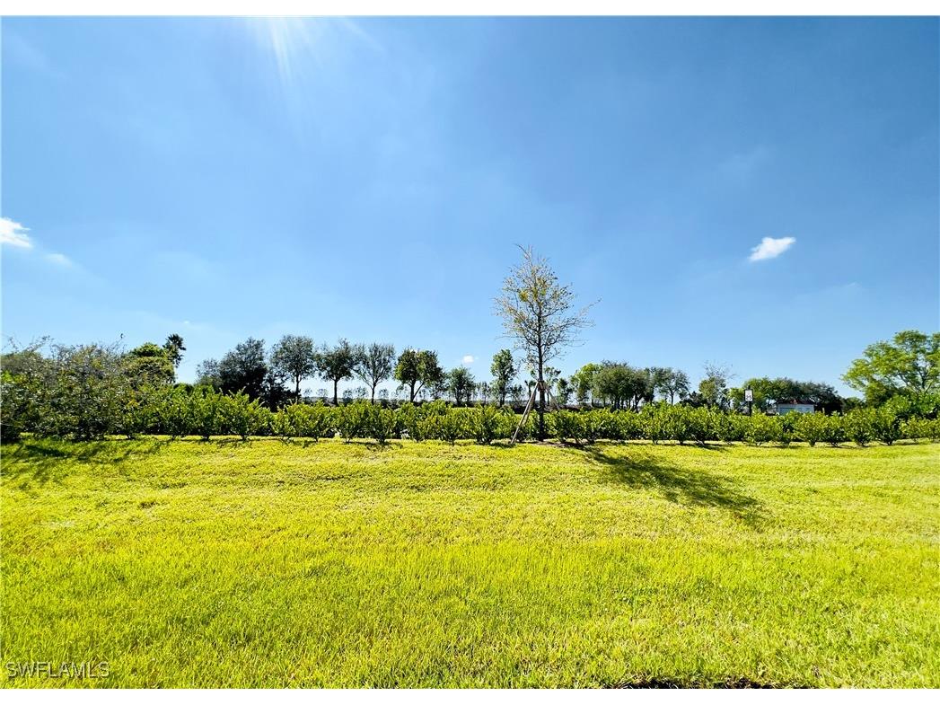 14297 Oviedo Place #14297 Fort Myers FL 33905 225050952 image17