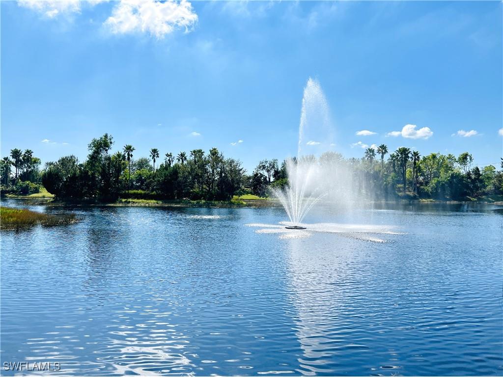 14297 Oviedo Place #14297 Fort Myers FL 33905 225050952 image23