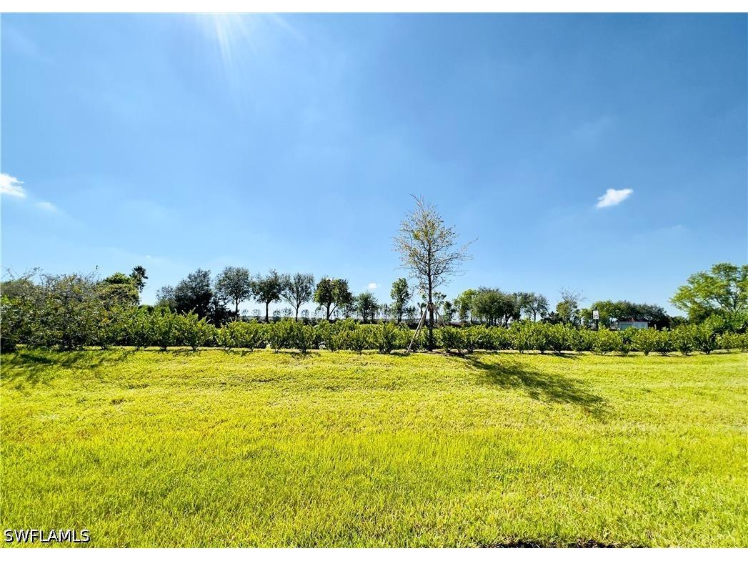 14297 Oviedo Place #14297 Fort Myers FL 33905 226019211 image7