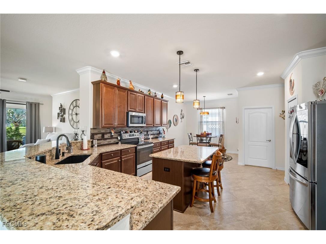 14298 Mindello Drive Fort Myers FL 33905 2025018739 image9