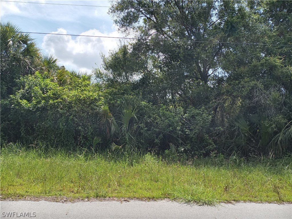 143 National Avenue S Lehigh Acres FL 33974 222046338 image1