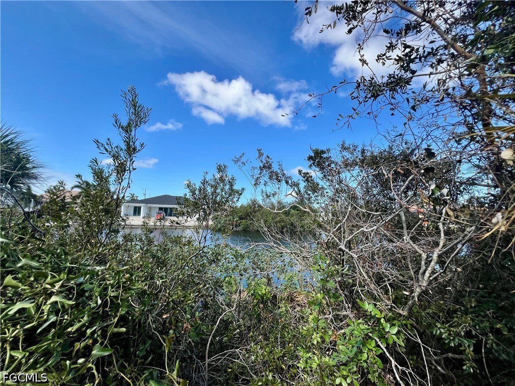 1430 NW 24th Place Cape Coral FL 33993 2026018141 image5