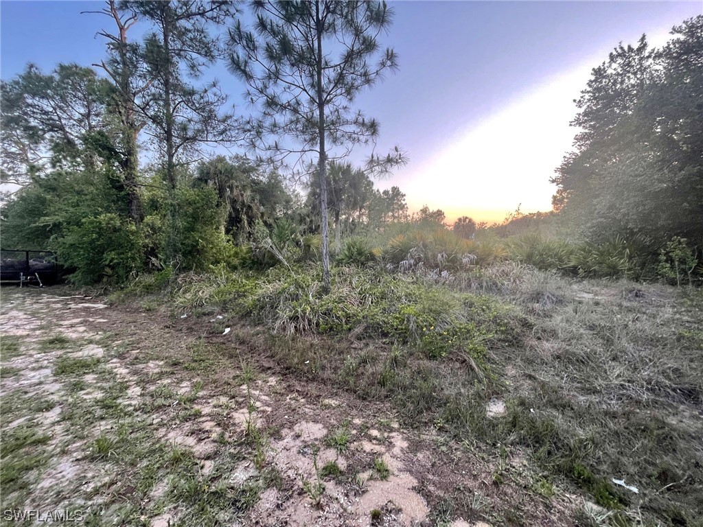 1431 Euclid Avenue Lehigh Acres FL 33972 223059118 image1