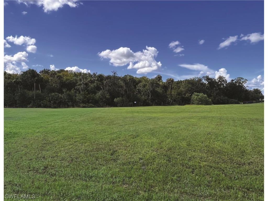 14311 Binghampton Drive Fort Myers FL 33905 223014890 image1