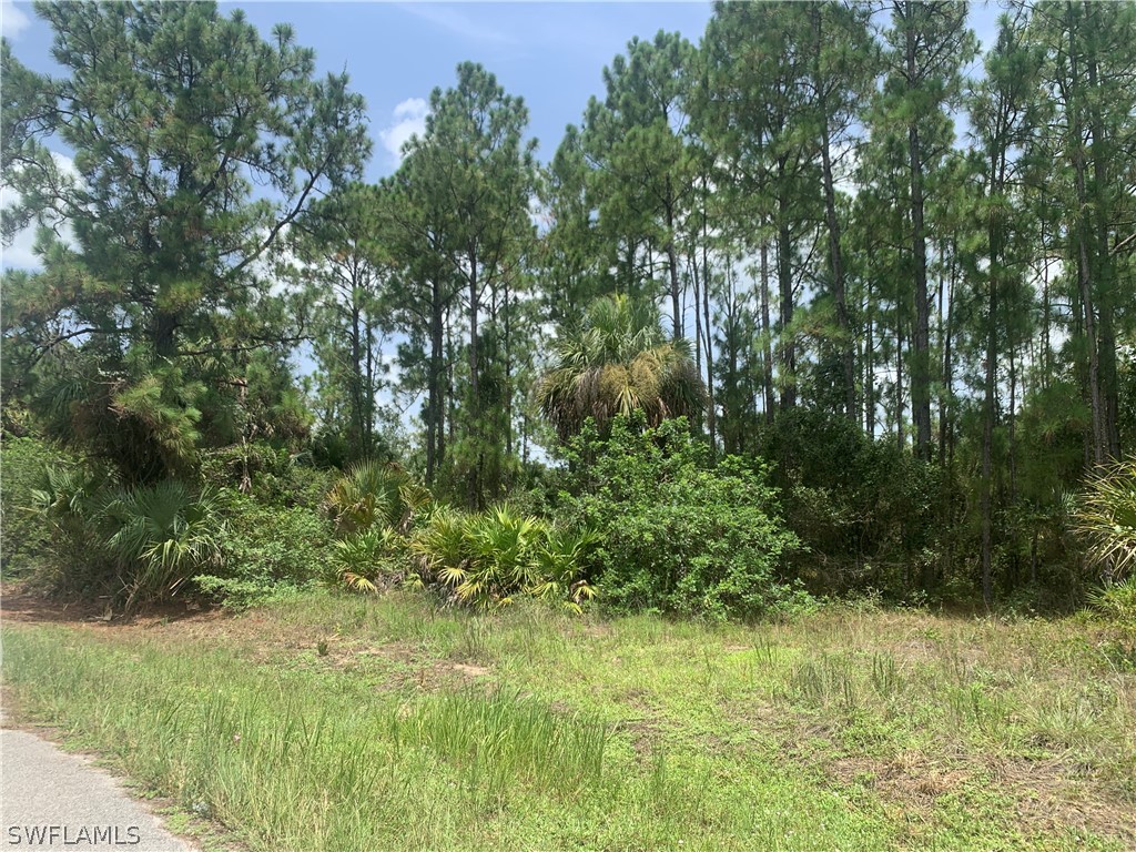 1432 Euclid Avenue Lehigh Acres FL 33972 222060192 image1