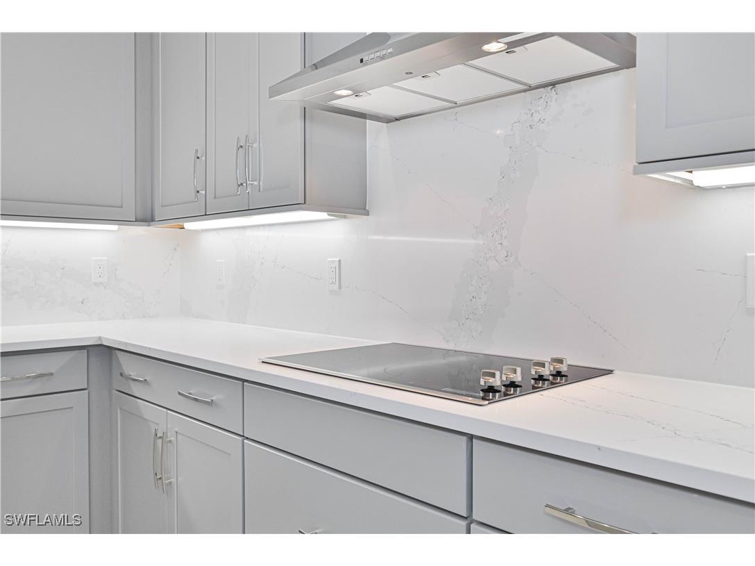 14343 Hogarth Place Fort Myers FL 33905 225042390 image11