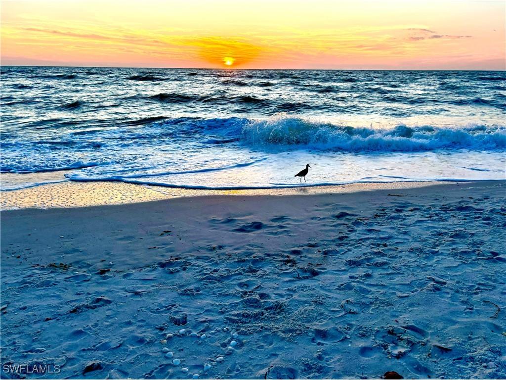 1435 Curlew Avenue #1 Naples FL 34102 225084566 image17