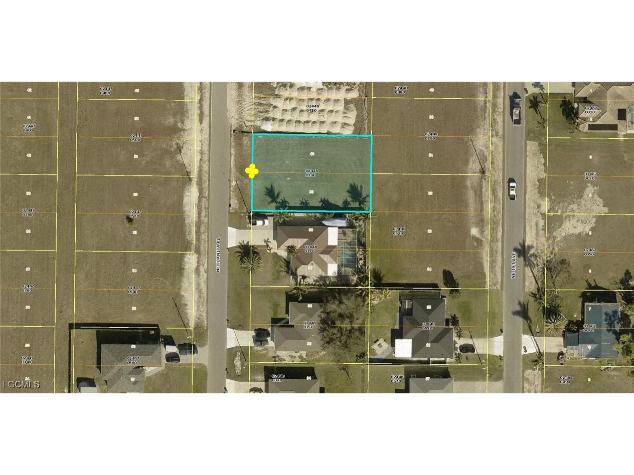 1435 NE Juanita Place Cape Coral FL 33909 2025014603 image1