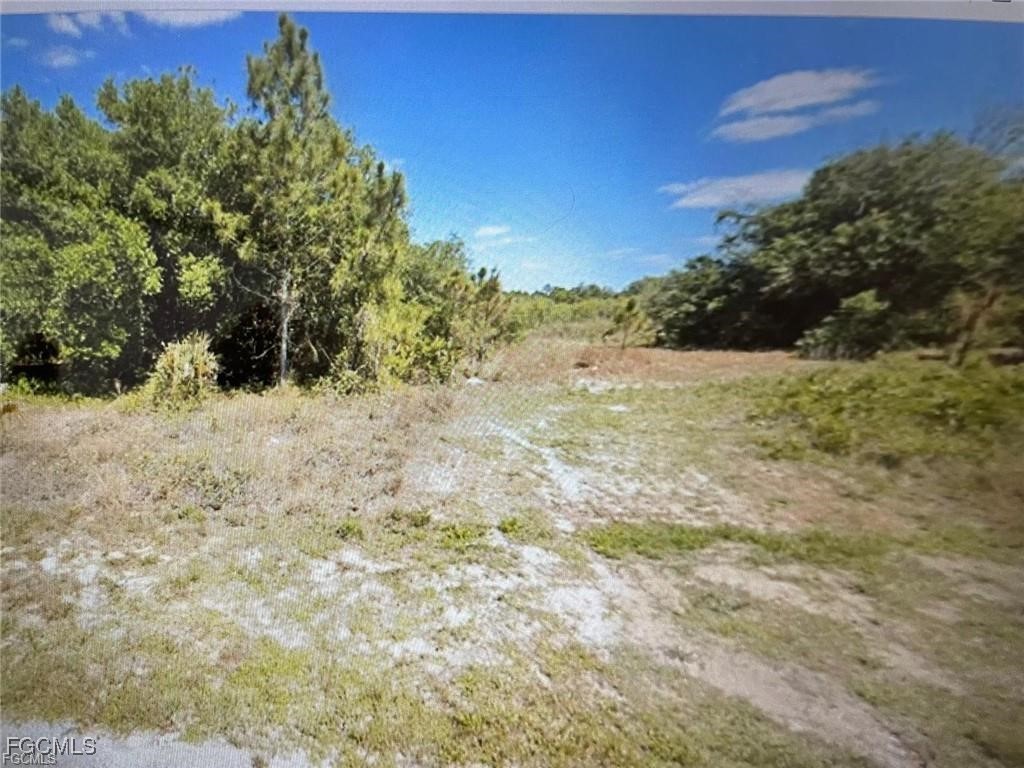 1438 Euclid Avenue Lehigh Acres FL 33972 2025025620 image2