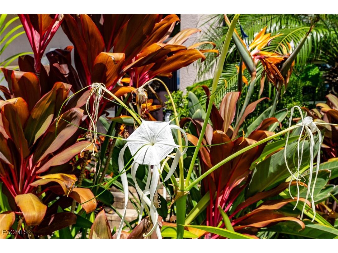 14380 Hampton Lake Court Fort Myers FL 33908 2025010082 image35