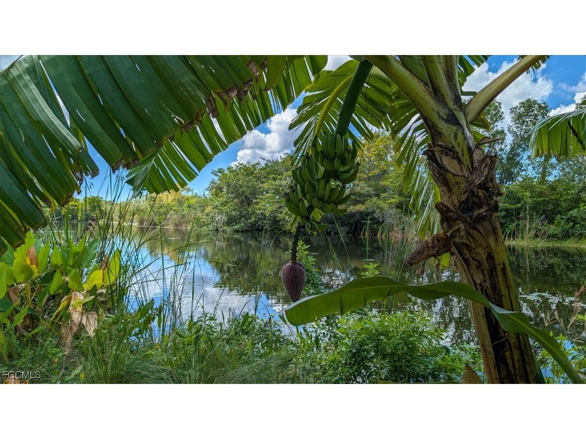 14380 Riva Del Lago Drive #1101 Fort Myers FL 33907 2025011807 image22