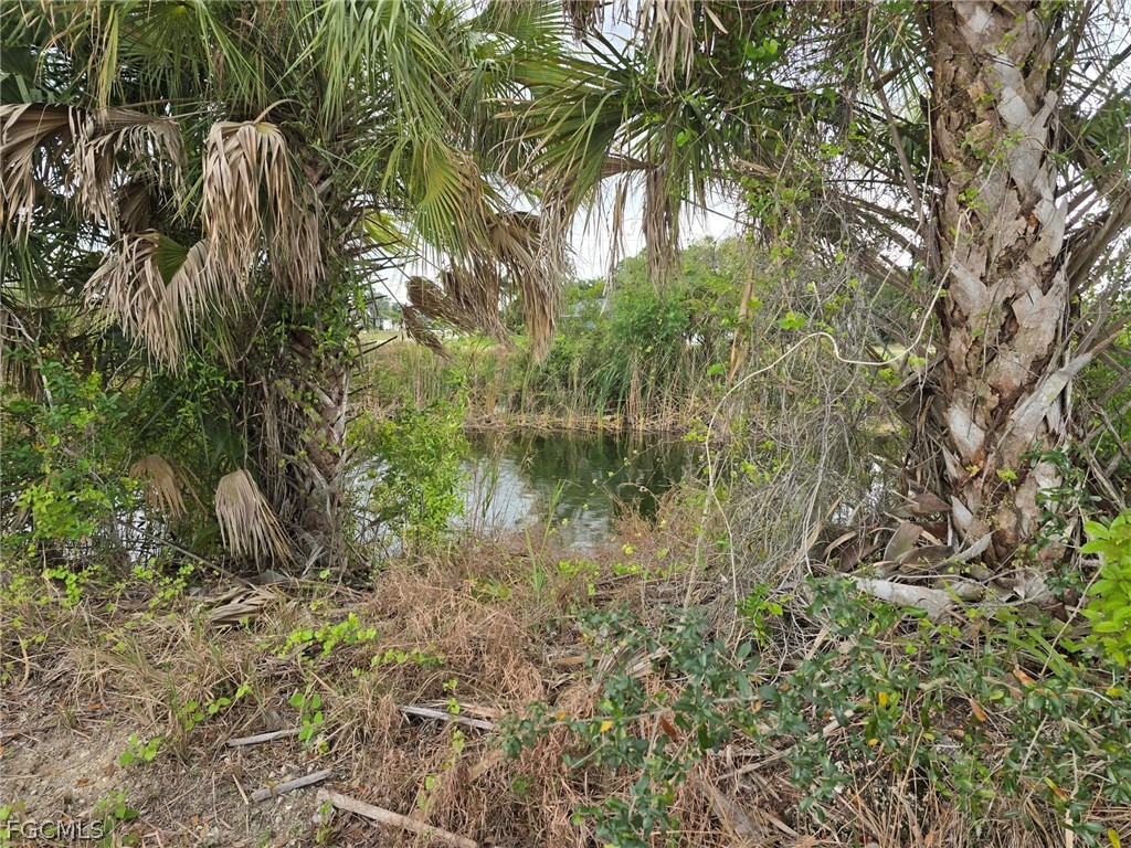 1440 NE 33rd Street Cape Coral FL 33909 2026012735 image4