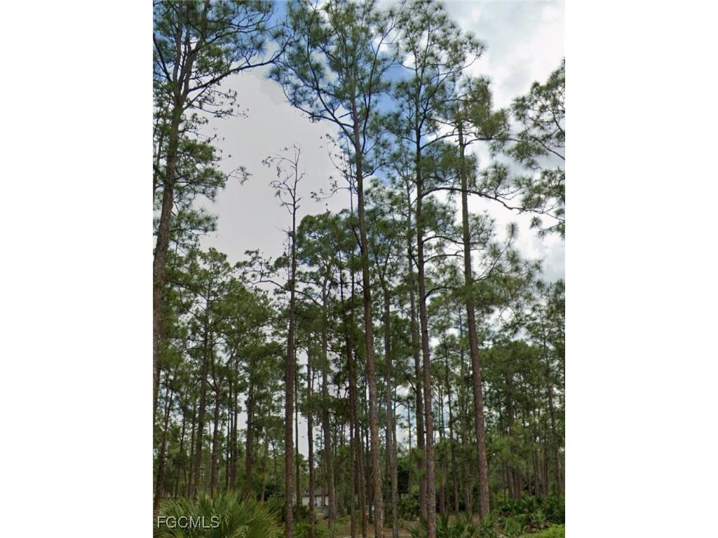 1442 Lincoln Avenue Lehigh Acres FL 33972 2025007650 image2