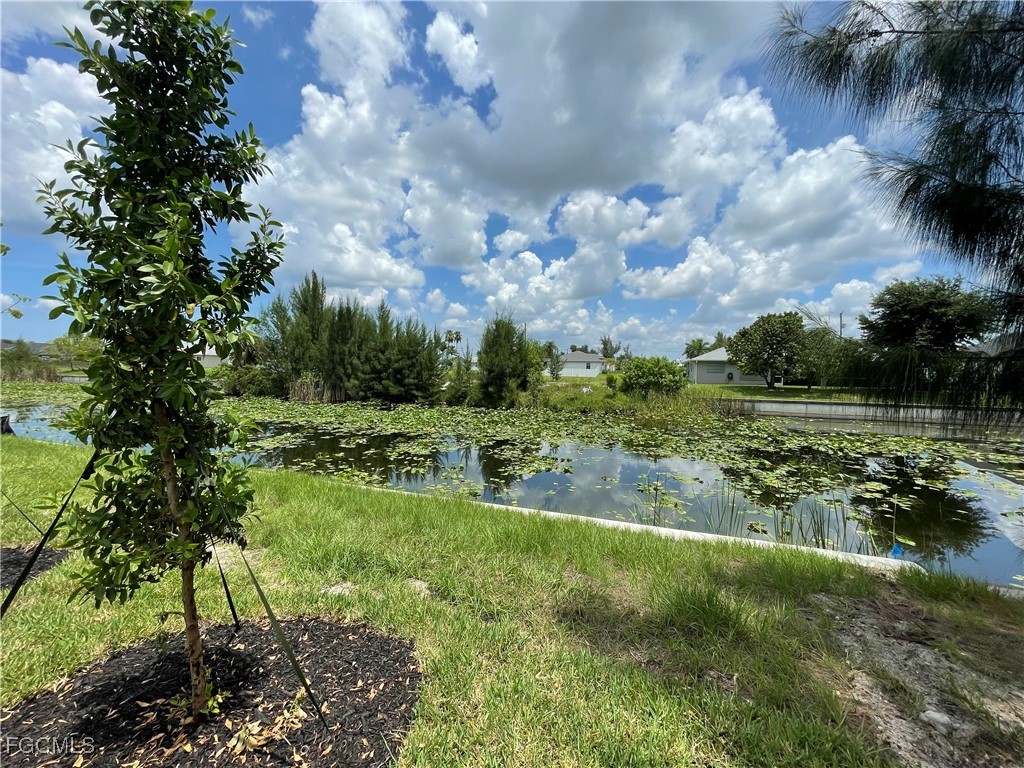 1444 SW 4th Lane Cape Coral FL 33991 2025014425 image16