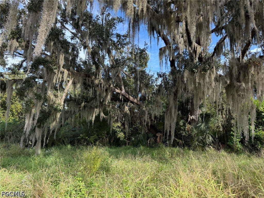 1445 S Florida Avenue Wauchula FL 33873 2026019337 image1