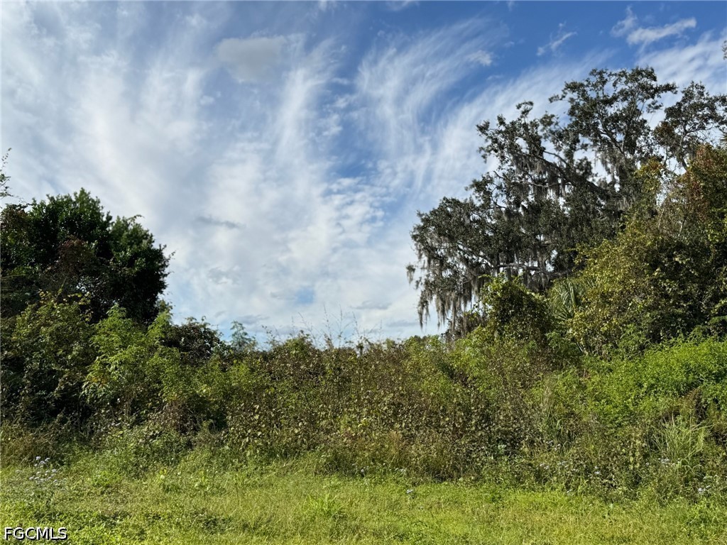 1445 S Florida Avenue Wauchula FL 33873 2026019337 image2