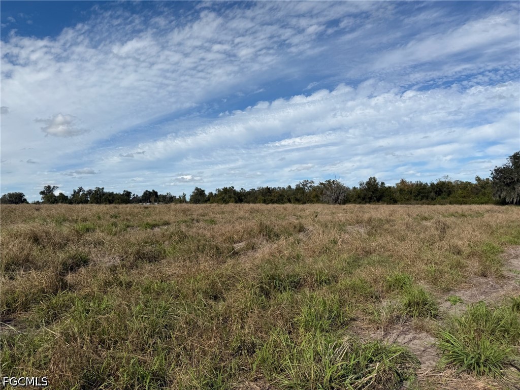 1445 S Florida Avenue Wauchula FL 33873 2026019337 image3