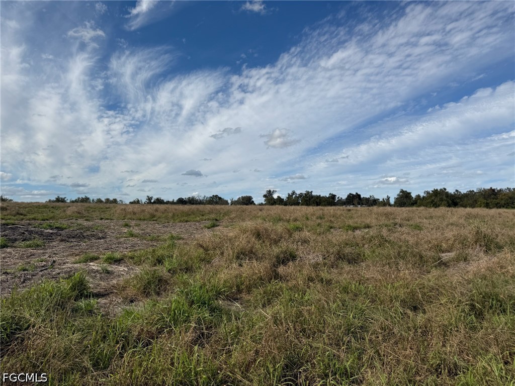 1445 S Florida Avenue Wauchula FL 33873 2026019337 image4