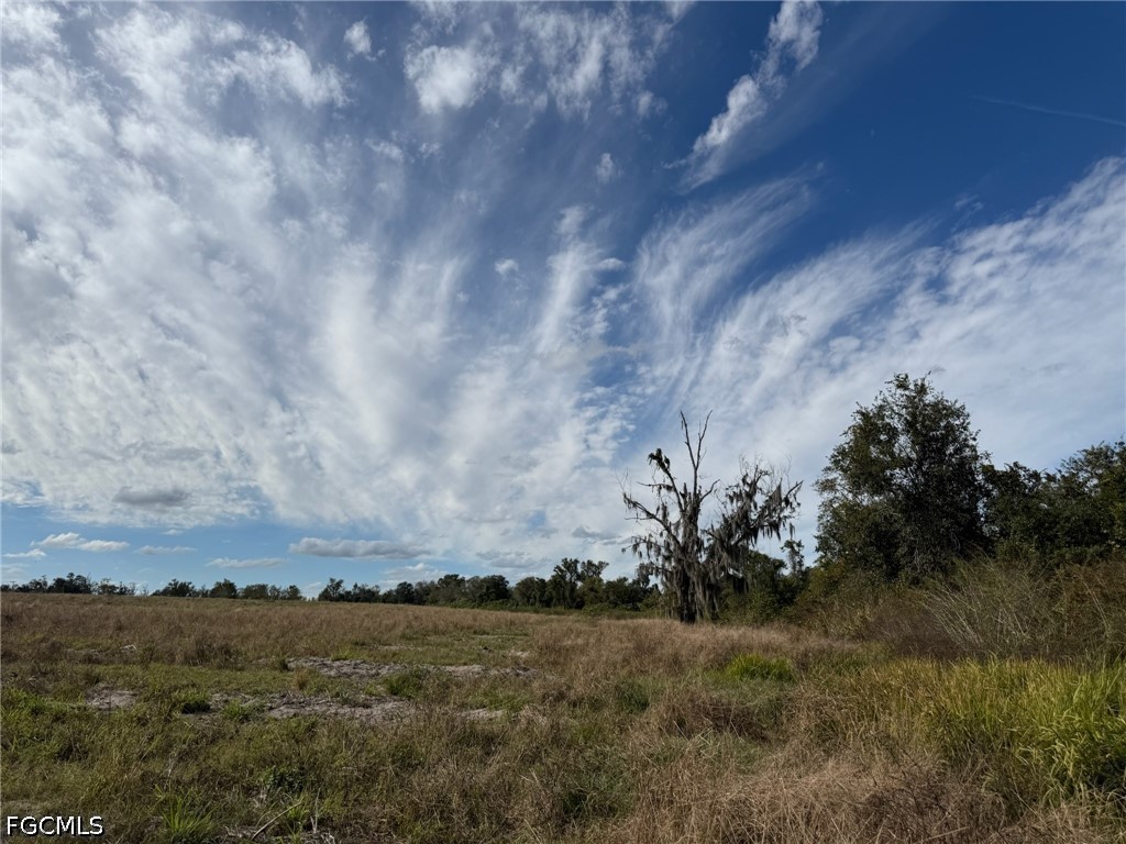 1445 S Florida Avenue Wauchula FL 33873 2026019337 image6
