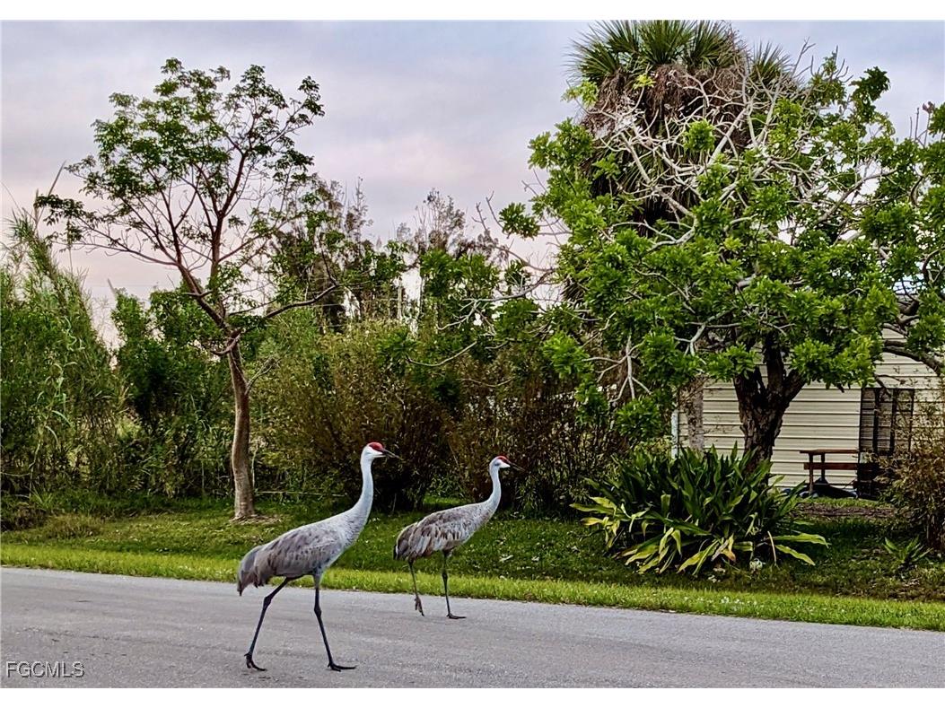 14459 River Beach Drive W #221 Port Charlotte FL 33953 2025001245 image39