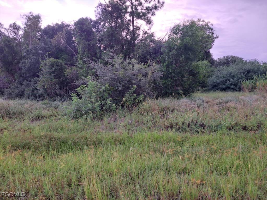 145/147 Pine Lane Lehigh Acres FL 33973 2025009182 image1