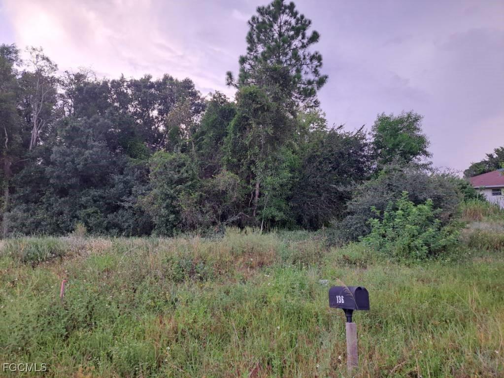 145/147 Pine Lane Lehigh Acres FL 33973 2025009182 image3