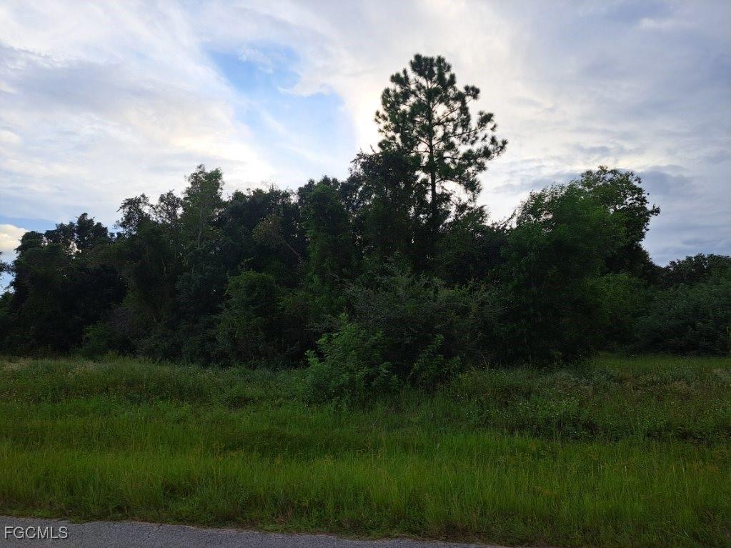 145/147 Pine Lane Lehigh Acres FL 33973 2025009182 image5