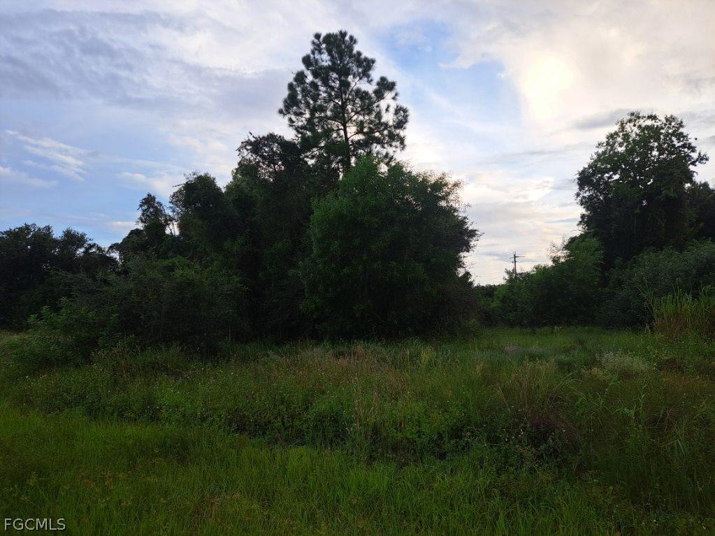 145 Pine Lane Lehigh Acres FL 33973 2026012305 image1