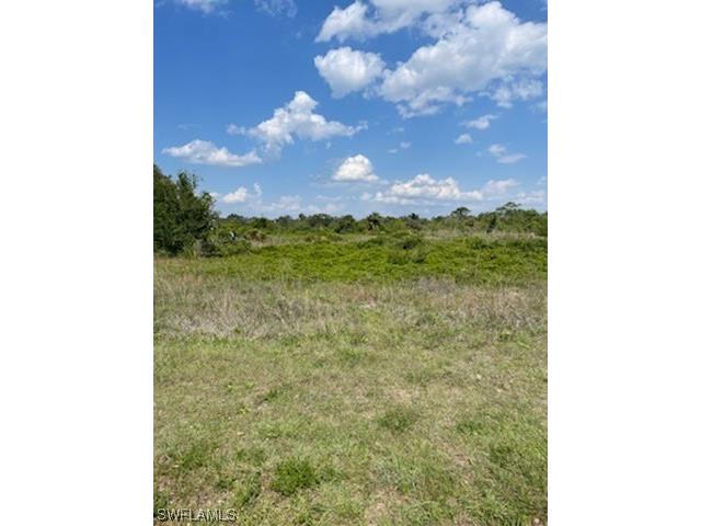 14540 Old Olga Road Fort Myers FL 33905 223037650 image1