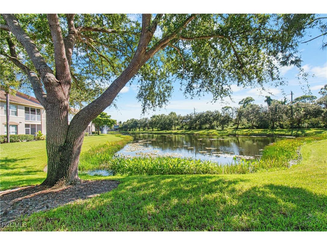 14550 Daffodil Drive #1003 Fort Myers FL 33919 2025006881 image35