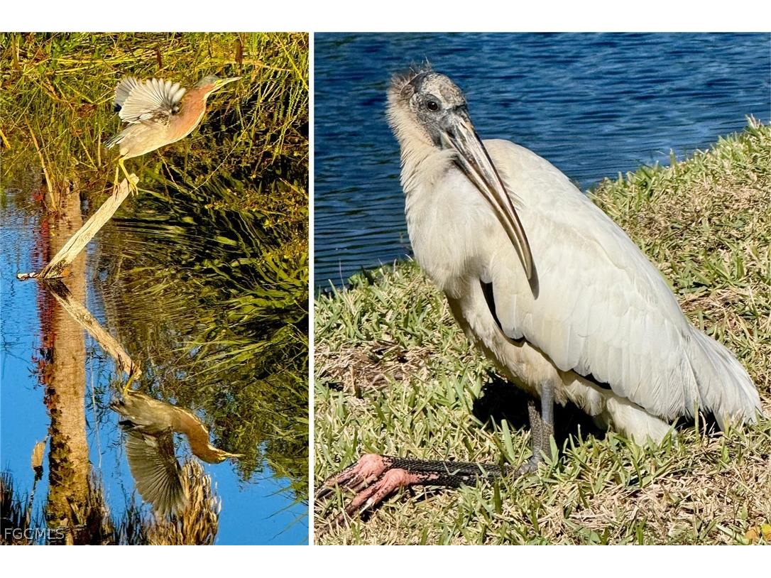 14593 Aeries Way Drive Fort Myers FL 33912 2026006499 image41