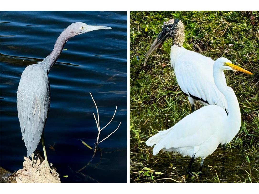 14593 Aeries Way Drive Fort Myers FL 33912 2026006499 image42