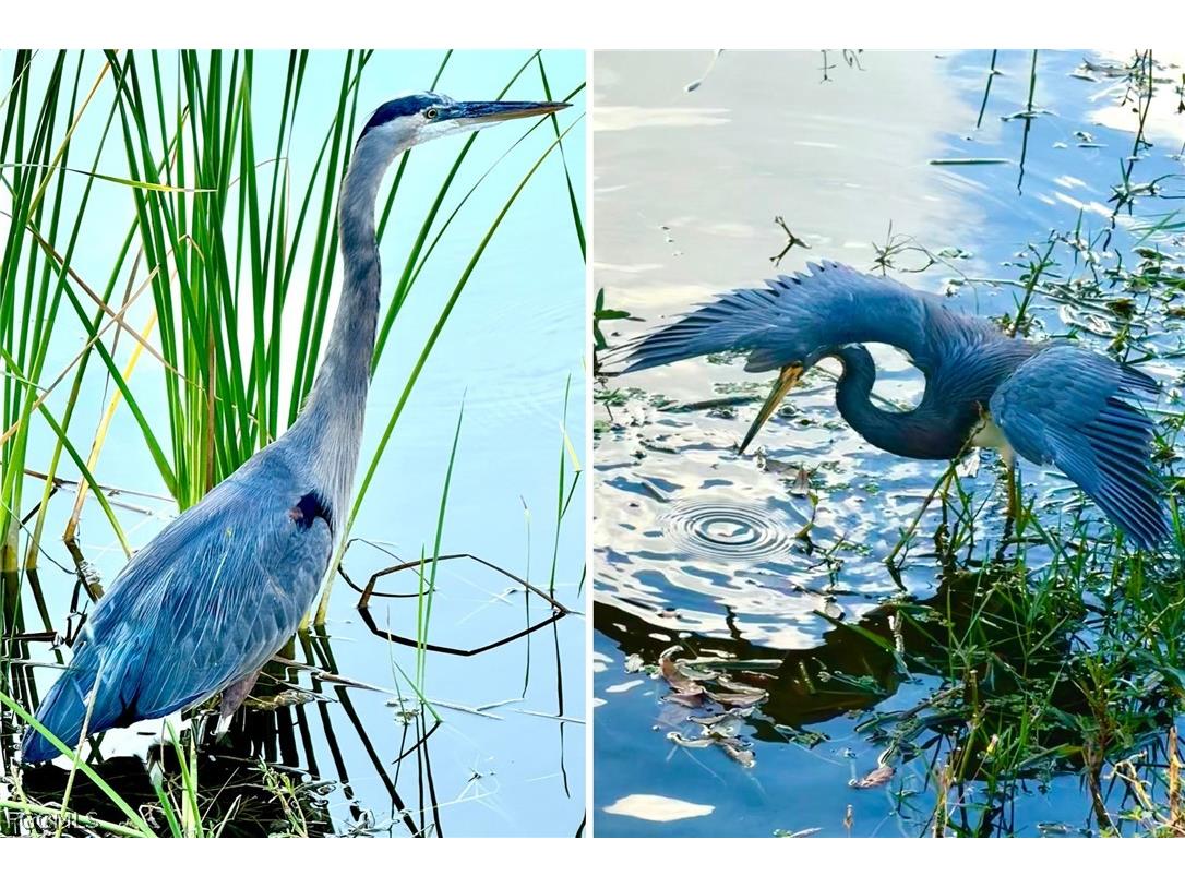 14593 Aeries Way Drive Fort Myers FL 33912 2026006499 image5