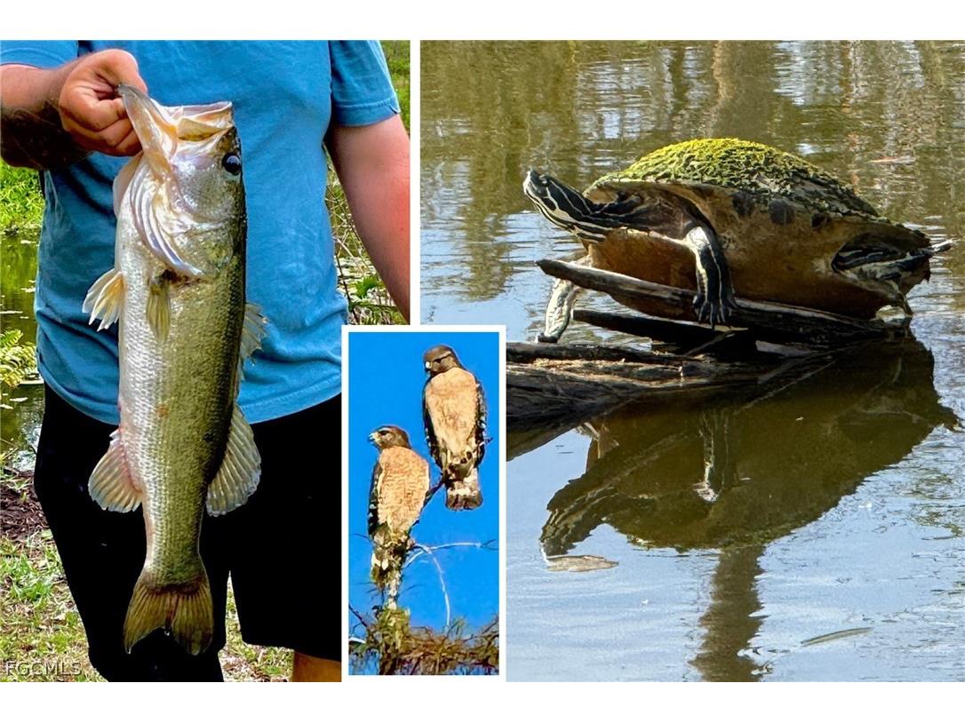 14593 Aeries Way Drive Fort Myers FL 33912 2026006499 image6