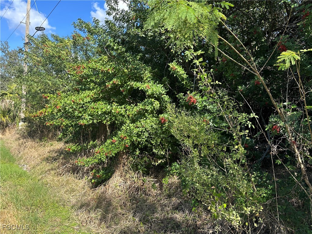 1460 Westover Street Port Charlotte FL 33953 2026001831 image4