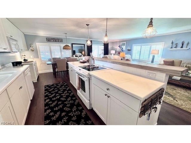 14669 Paul Revere Loop North Fort Myers FL 33917 2026010047 image5
