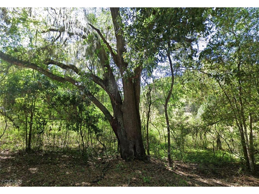 147 SW Liberty Gln Fort White FL 32038 2026004398 image1