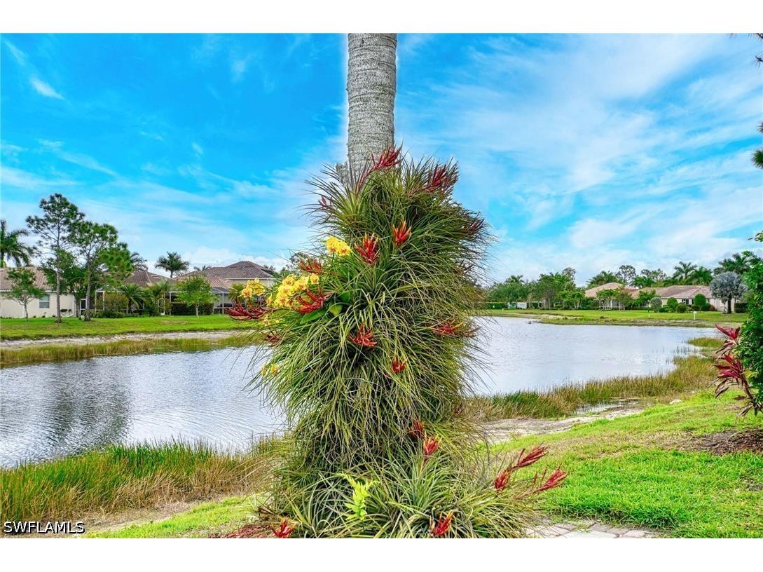14809 Canton Court Naples FL 34114 226014266 image34