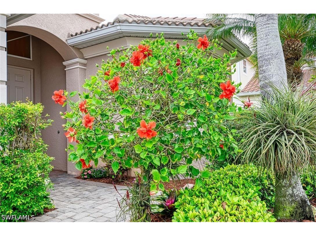 14809 Canton Court Naples FL 34114 226014266 image40