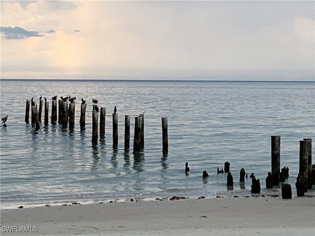 14827 Edgewater Circle Naples FL 34114 225052682 image48