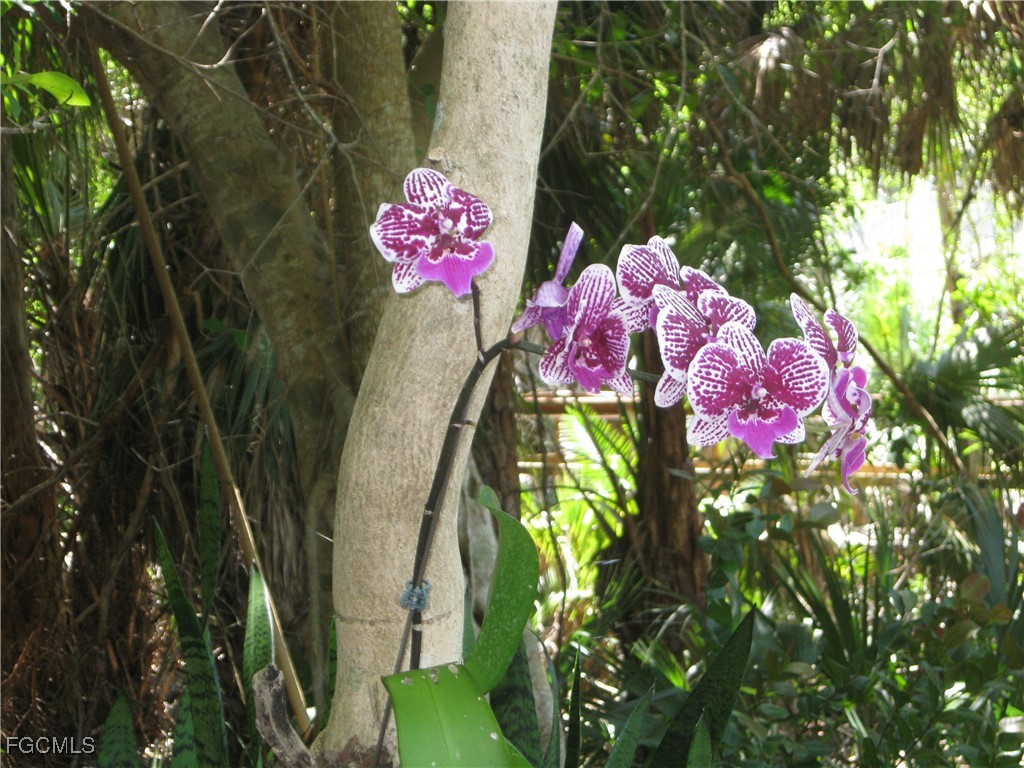 14831 Park Lake Drive #110 Fort Myers FL 33919 2026001879 image32