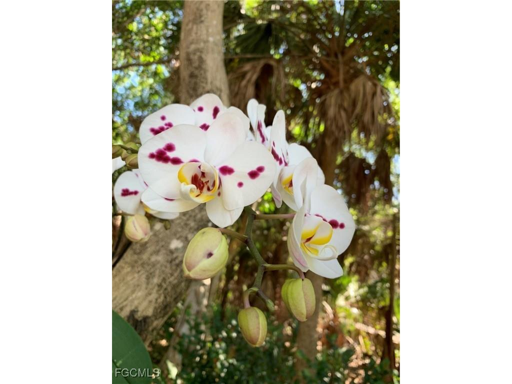 14831 Park Lake Drive #112 Fort Myers FL 33919 2026000513 image42